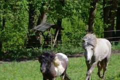 glenni und bärchen
